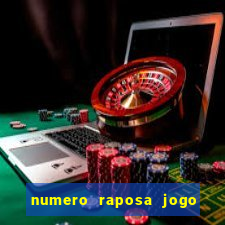 numero raposa jogo do bicho